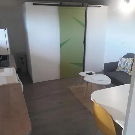 Studio Independant Avec Terrasse Exposee Sud *