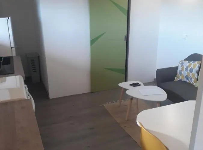 Studio Independant Avec Terrasse Exposee Sud *